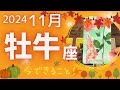 【牡牛座】♉️2024年11月運勢🍁これから計画は進むから🌈今できることをしていきましょう✨