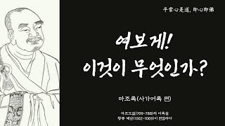 생각의 틀을 바꾸는 한마디 59 | 마조록(사가어록 편)-8대 조사 마조도일(709~788)의 말을 담다