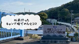 晩御飯を漁るタヌぽん＆朝日