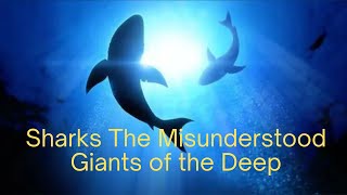 Sharks, The Misunderstood Giants of the Deep