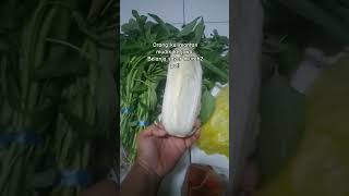 BELANJA SAYUR BIKIN SYOCK BANGET