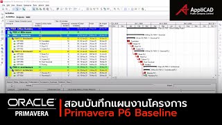 Prima P6 For Beginner ตอนที่ 8 Baseline : การบันทึกแผนงาน