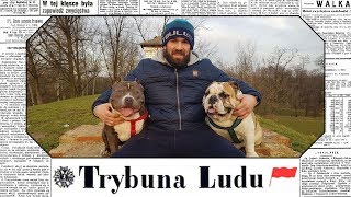 Trybuna Ludu #8 - Daniel Omielańczuk odpowiada na pytania internautów