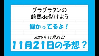 グラグラタンの競馬予想！？　１１月２１日（土）分