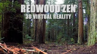 REDWOOD ZEN 3D (VR180)