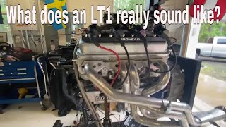 Pre-Dyno EFI Wiring Verification for 24X LT1 on Holley Terminator X