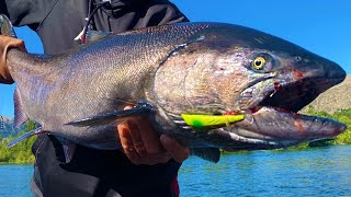 EPIC Salmon FISHING with SAVAGE Bites \u0026 HUGE Salmon!