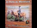 EL POLLO DE MOROTURO EIMER ESCALONA  QUÉ VOY HACER EN DICIEMBRE?