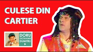 CULESE DIN CARTIER | Doru Octavian Dumitru Official