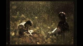 Ethel Cain - Make Room In Hell (Desolation Demo Remix)