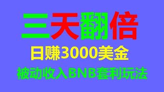 套利成功学：财富自由的关键秘诀 BNB套利机器人 EXBY MEV BNB套利全自动无风险：网络赚钱的新时代启示录！