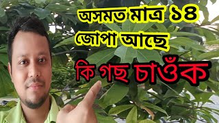 আজি আপোনালোকক ওচৰৰ পৰা  নাগশংকৰ মন্দিৰৰ কাছ 🐢🐢দেখুৱাম আহক 🐢🐢#realhero #raktimhazarika