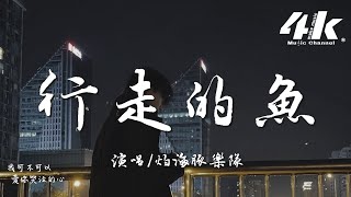 灼海豚樂隊 - 行走的魚 (Live)『不過是夢寐以求，長大了 怎麽你不快樂。』【高音質|動態歌詞Lyrics】♫ · 翻唱歌曲(原唱:徐佳瑩)