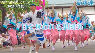 【菊水連･徳島城阿波おどり】2023年4月29日/流し踊り(お花見広場)Awa Odori,Awa dance,Kikusuiren,HDR,徳島中央公園,きくすい連#菊水連