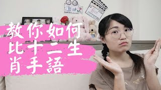 手語小學堂：十二生肖