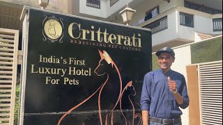 Critterati Gurgaon India\