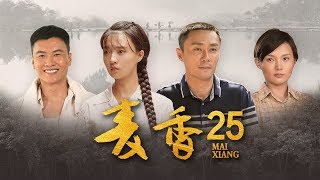 《麦香》 第25集 麦收和银娣结婚 云飞偷税漏税东窗事发（主演：傅晶、章贺）| CCTV电视剧