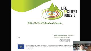 CAFE Tutorial No.1 - Introduction to the DSS Tool