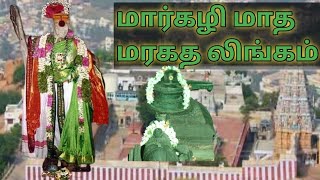 திருச்செங்கோடு மலை | மரகத லிங்கம்| #Bhuvanasatheesh | #Tiktik