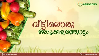 വീട്ടിലൊരു അടുക്കളത്തോട്ടം  PART - 6 | Agrocops | Agrocops Webinar| Free webinar