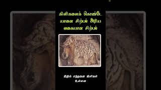 இதில் எத்தனை கிளிகள் உள்ளன #shorts #tamil #history