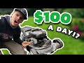 The BEST MECHANIC Side HUSTLE of 2024? Lawn Mower Flip DIY!