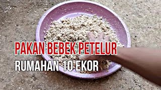 TAKARAN PAKAN BEBEK PETELUR 10 EKOR | RUMAHAN‼️