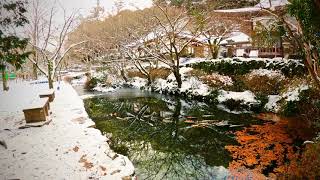 山口県長門市大寧寺 Gopro9