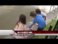 4歲小女孩遇到巨大鱷魚