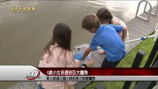 4歲小女孩遇到巨大鱷魚