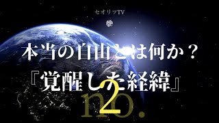 【龍の背中に乗って覚醒】※実体験続編！覚醒への経緯No.２【本当の「自由」を知ったとき】ワタシが覚醒した時の経緯をお話したいと思います｜龍神｜スピリチュアル