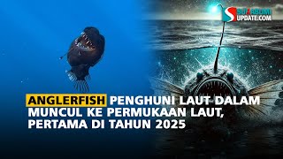 Anglerfish Penghuni Laut dalam Muncul ke Permukaan Laut, Pertama di Tahun 2025