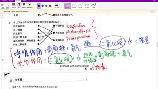 初二综合科学下册第7章生物界中氧和二氧化碳的循环 part 2