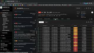 Cortex XDR How-To Video: Incidents