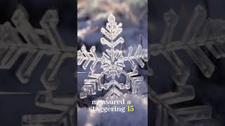 The World's Largest Snowflake, 1887 - A Natural Wonder #amazingfacts  #mindblowing #factsforyou