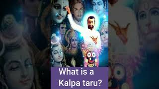 What is a Kalpa Taru? #short #ramakrishna  #shorts