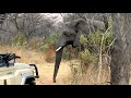 African Safari Adventure - Entabeni, Victoria Falls, Chobe - South Africa, Zimbabwe, Botswana