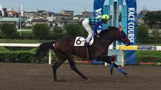 2018.9.27 浦和🐎11R  ツーエムカイザー 森泰斗騎手 返し馬