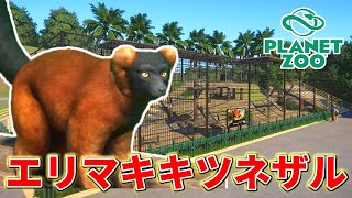 【Planet Zoo】サルエリアを発展させたい！アカエリマキキツネザル舎を作ります！【動物園を作ろう！#43】