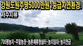 강원도땅 원주땅 5000만원 1등급친환경땅 저수지뷰 일조량좋은땅 투자수익가능 나만의텃밭 주말농장 농촌체류형쉼터 전원주택 편안한전원생활 농지연금 농지임대 스마트팜 경매땅공매땅