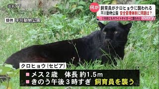 平川動物公園 飼育員クロヒョウに襲われる 鹿児島市(動物愛誤)(製造車禍.傷人.人身被害)(Animal Attacks)(アニマルホーダー)(狂犬病)(COVID-19)(トキソプラズマ症)