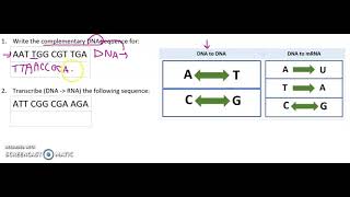 Do First 2.2.21: Transcription Practice