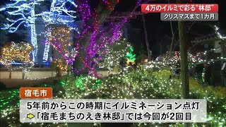 宿毛の『林邸』でイルミネーション、４万球の電飾が歴史的建造物彩る・来年1月15日まで【高知】 (21/11/22 12:00)