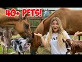 NIGHT ROUTINE WITH ALL MY PETS! | 40+ PETS! HECTIC