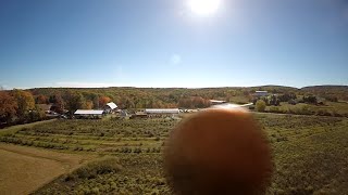 Pumpkin Cannon vs Drone - Stupidest Drone Crash Ever - I'm a moron