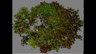 Realtime L-System Trees 02