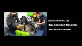 小王子動物醫院復健分院：CCRP林錫佑醫師_喵喵_四級雷射及磁療貓咪物理治療