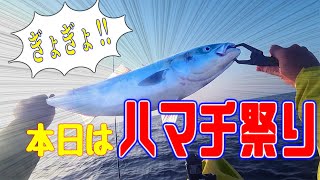 わっしょいハマチ祭り【カヤックフィッシング】