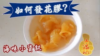 海味小資訊 如何浸發花膠