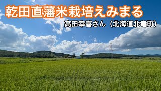 乾田直播米栽培「えみまる」高田幸喜さん・その2